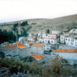 Ayvalı