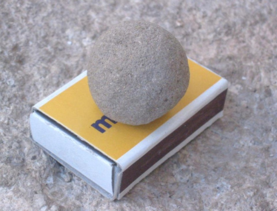 dung ball of a roller