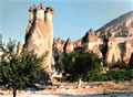 Paaba